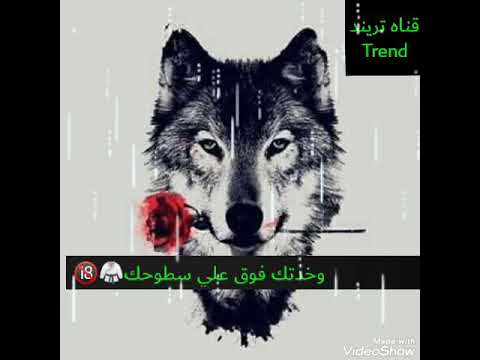 حالات واتس سحبت سلاحي علي ارضك حمو بيكاا قناه تريند 