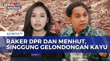 Menhut dan Polri Bentuk Tim Investigasi Usut Kayu Gelondongan di Lokasi Banjir Sumatera