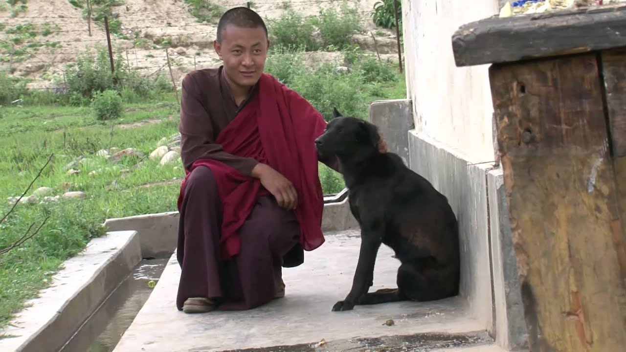 HSI Celebrates 6 Years in Bhutan