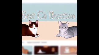 Best collection to see if you like cats               #cat #pets