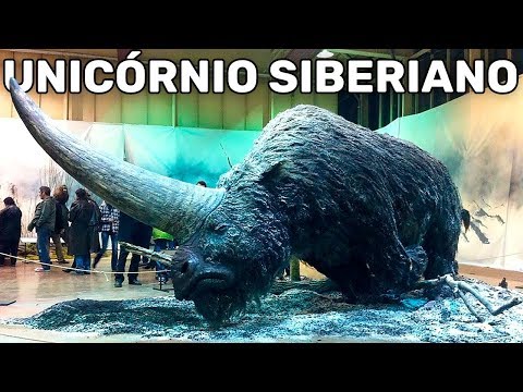 Vídeo: Os Cientistas Descobriram Quais Animais Serão Extintos Por Volta Do Ano 2100 - Visão Alternativa