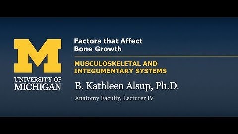 Skeletal System: Factors that Affect Bone Growth