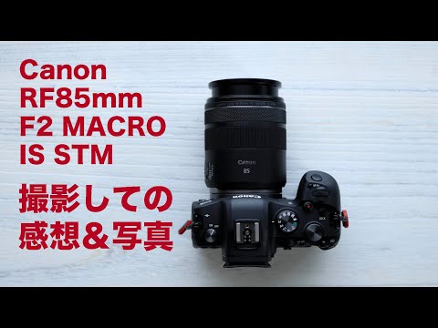 Canon RF85mm F2 Macro IS STMレンズをEOS R6で撮影した写真と