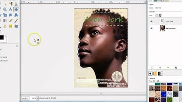 GIMP:  INTRODUCTION TO LAYERS (EDITED)