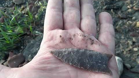 NSR Golodrina Point and Fossils - Must Watch!