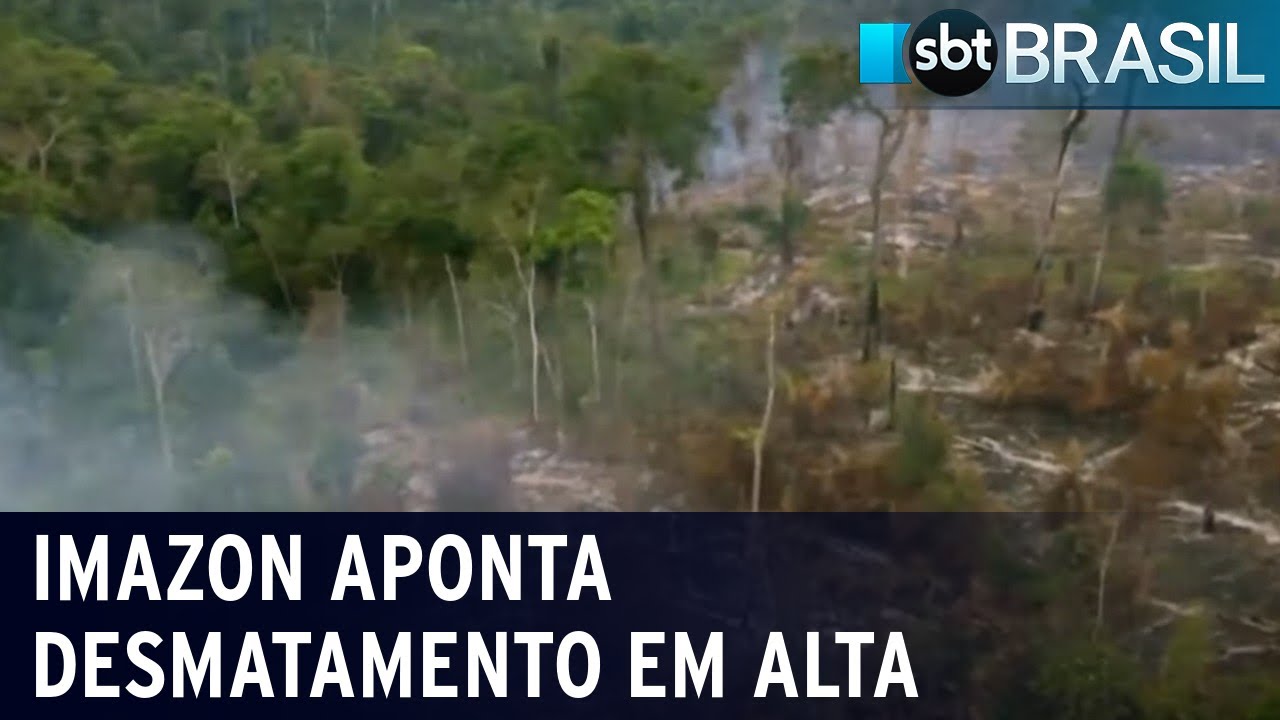 Desmatamento na Amazônia em 2022 pode ser um dos maiores da história | SBT Brasil (17/02/22)