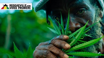 Bobo Naturall - Pass Di Herb [Official Video 2025]