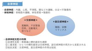 【コクシ解説】交感神経の作用はどれか。2つ選べ【看護師国家試験第109回 午前 第81問】