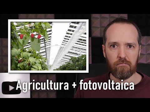 Agrovoltaica: ¿Arruinar la