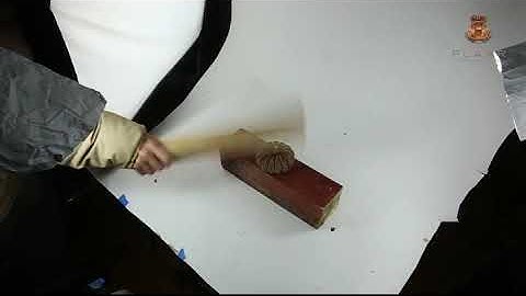 Explosive fruit capsule! Seed dispersal