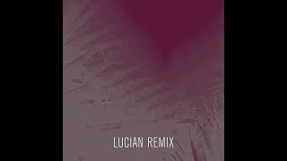 Lucian Jr Csercsa Remix