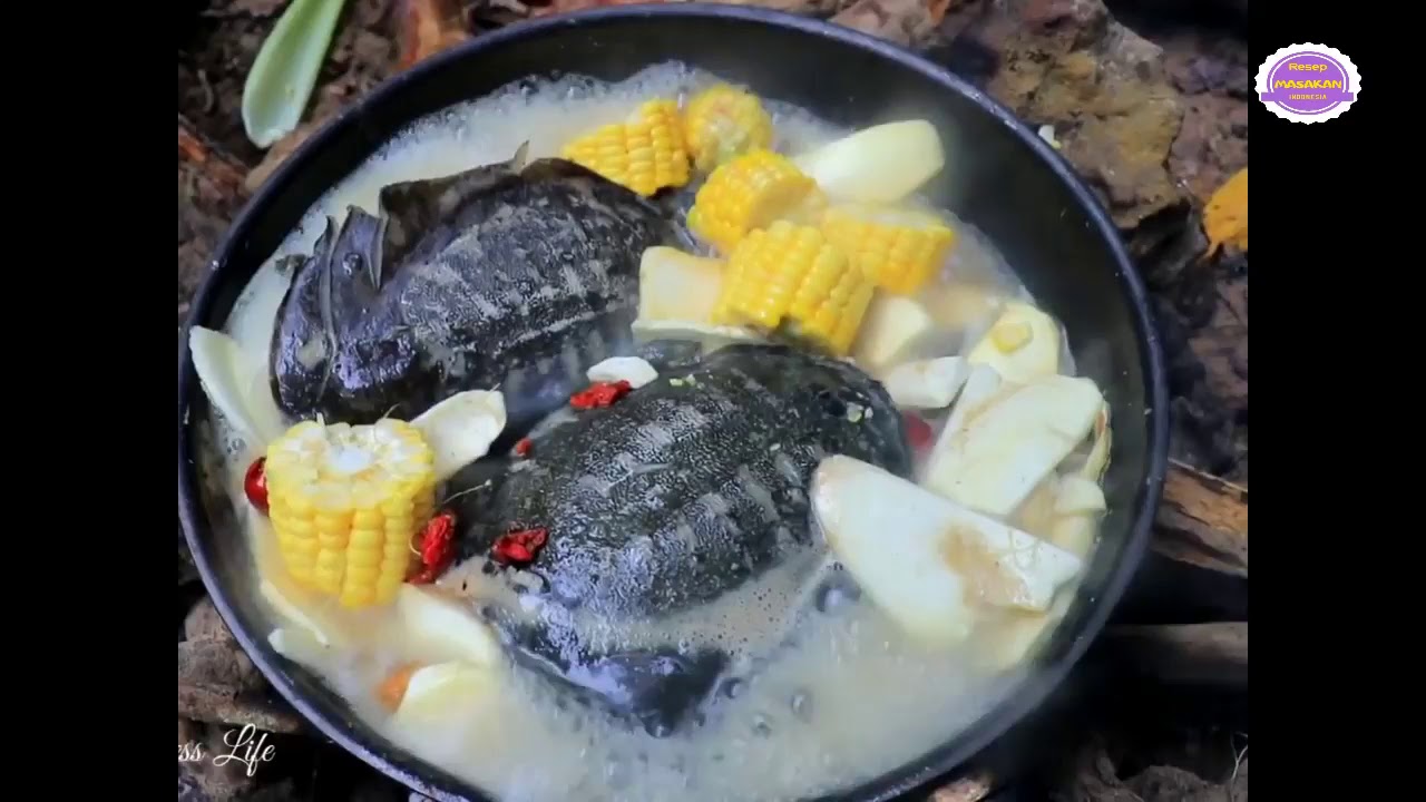 Sop LABI-LABI Yang Nikmat !!!