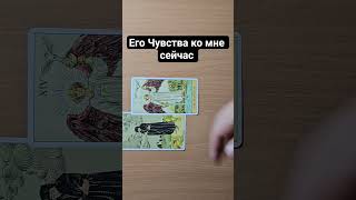 #любовь #таро #картытаронаотношения #tarot #отношения #расклад #прогнознаотношения  #гадание