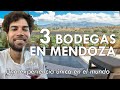 3 BODEGAS en MENDOZA