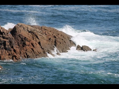 Rumi on you, the ocean.