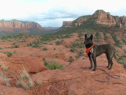 Hiking Secret Canyon Sedona Arizona and Finding AncientNutritionins