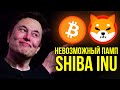 ГЛАВНЫЙ СЕКРЕТ SHIBA INU, КАК ОНА СТАНЕТ ТОП-5 КРИПТОВАЛЮТОЙ | Биткоин прогноз $80 000 в ноябре