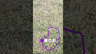 Download Lagu aku bingung jadinya###$$$@## MP3