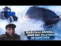 ЗИМОВИЙ OFF-ROAD ВІД ЛЬОЛІКА / ВІДКАЗАЛА КОРОБКА, ЛЬОЛІК НА НЕРВАХ / ВИТЯГУЄ ТРАКТОР / ДИВИТИСЬ ВСІМ