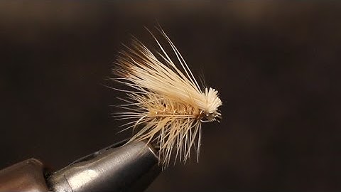 Elk Hair Caddis
