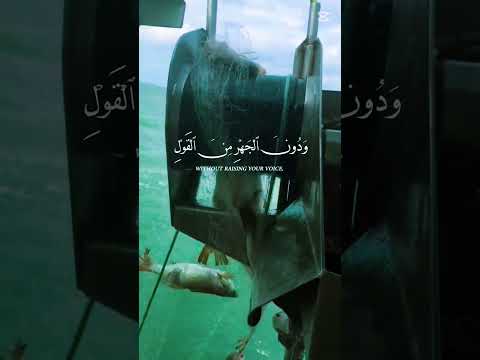واذا قرء القرأن فاستمعوا له  الرحمن  بحر  المراه لايك اعتني الثامن 