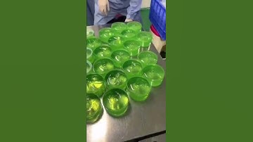 Thumbnail of proses olahan lidah buaya #tanaman #plants #lidahbuaya #alami #natural #masker #bio #diy #manfaat