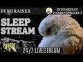 Night Time Sounds for Sleeping Birds | Drown Out Startling Noises  | Parrot TV for Your Bird Room🌛