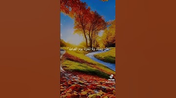 قرآن كريم ❤️ تلاوة خاشعة بصوت جميل #quran #راحة_نفسية #تلاوة_خاشعة