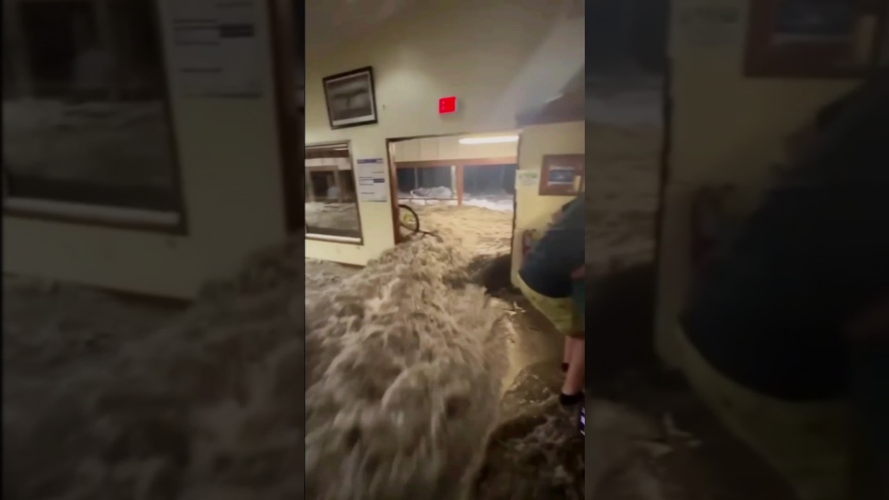 Flood Disaster in Europe 