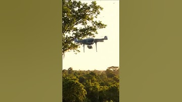 Drone Crashes Into Tree Branch and Plummets to the Ground! #aivideo #shortsvideo #short #shorts