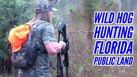 South Florida PUBLIC LAND Feral Hog Hunting!