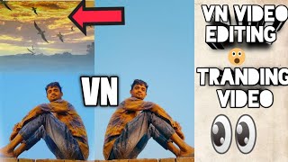 Vn App Editor Vn Se Sky Me Birds Flying Editing  vairal vairal vnediting  vn