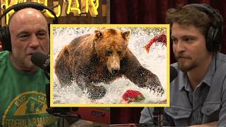 Celebrity Joe Rogan: The Truth About Bears Is Darker Than You Think 🐻😱 Profile