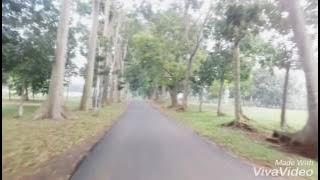 Lagu Terbaru Dewi Persik - SURGA DUNIA