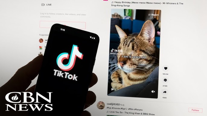 What Cybersecurity Experts Are Saying About Tiktok