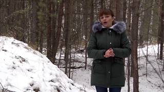 Чулымские предания Калмацкие курганы Чулымские предания Калмацкие курганы