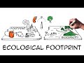 Ecological footprint: Do we fit on our planet?