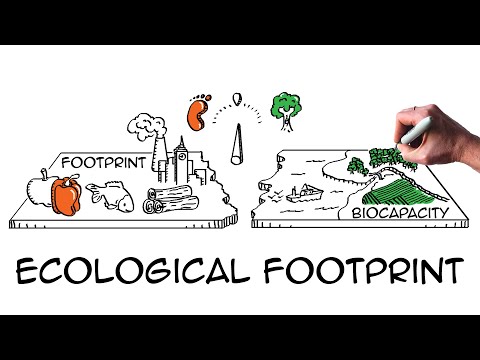 Ecological footprint: Do we fit on our planet?  
