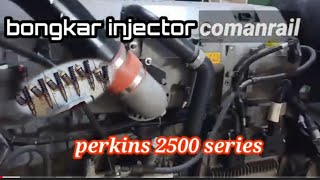 Injector Comanrail Perkins Diesel