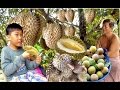 Durian Monthong from Koh Kong Province | Durian Season in Cambodia
