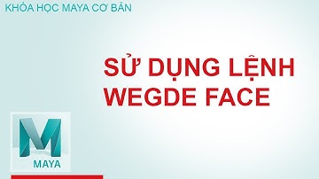 Học maya - Hướng dẫn sử dụng lệnh Wedge Face trong Edit Mesh