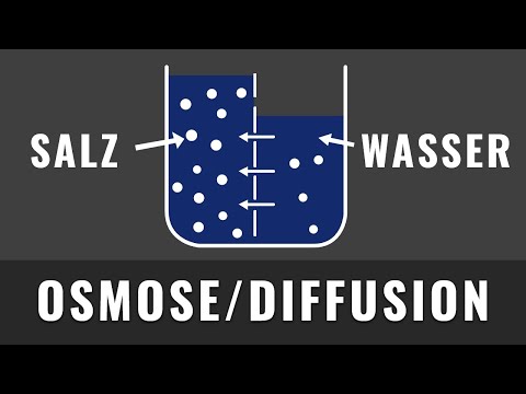 Osmose und Diffusion | Schnell und einfach erklärt | Biologie Abitur