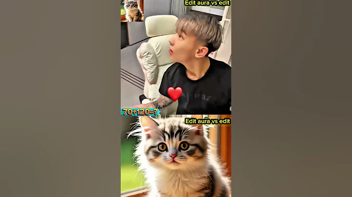 Video 11121601: cat funny entertainment