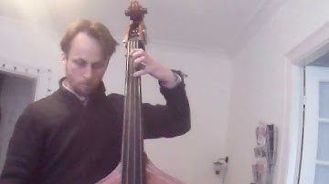 Double Bass lesson 1 - First Position Intonation