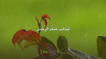 إنِمآ يُريَد اللهّ لَيَذُهّبً عٌنکْمً آلَرجّسِ إهّلَ آلَبًيتٌ || القارئ محمد صديق  المنشاوي.  