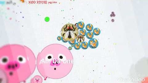 My best Video with my friend Brash (Best Cannon of the world)