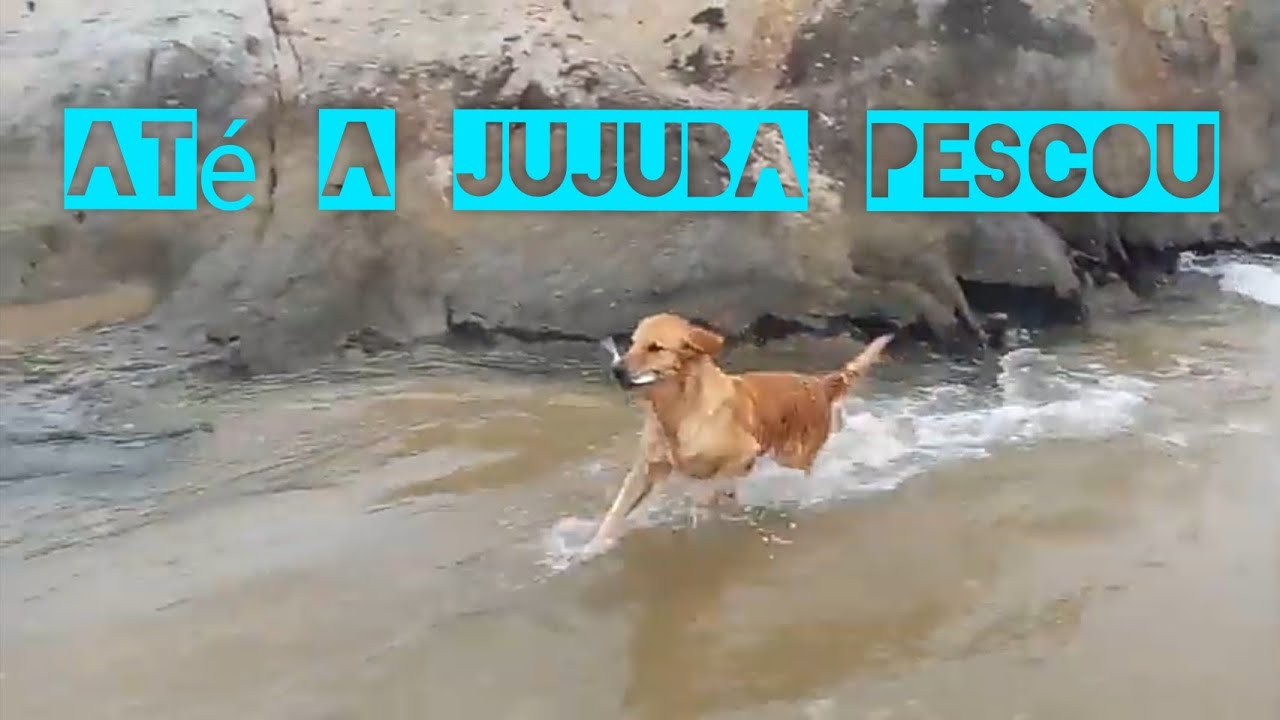 Deus mandou provisão de alimento na praia grande PR | Veleiro Dracma