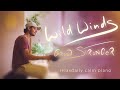 Wild Winds (Grow Stronger) [calm relaxing piano music for studying, focus, peaceful, stress-relief]