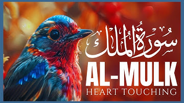 سورة الملك 📖 منجية من عذاب القبر | Surah Al-Mulk 📖 Protection from the Punishment of the Grave