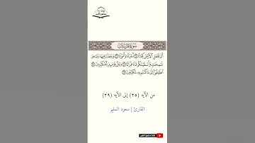 سورة المرسلات - من الآيه (25) إلى (29) القارئ سعود السليم  1445هـ - 2023 م